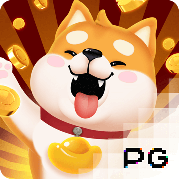 高云体育入口app